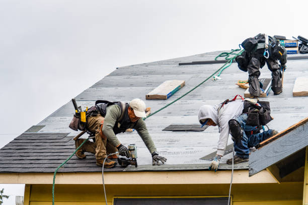 Professional Gutter Installation technician working in Laporte, CO